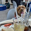 빵아지 이미지