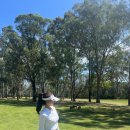 시드니 골프장 비교라 쓰고 이제.. 내 영상만 잔뜩 올리는 포스팅..ㅣ 카나본 Carnarvon Golf...