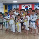 해인태권도 이미지