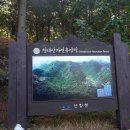 청태산자연휴양림 이미지