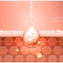 리드성형외과의원 | 성형외과 선택 시 반드시 체크해야 할 필수 사항