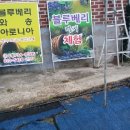 안집농장 이미지
