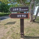 송정메타세콰이어길 이미지