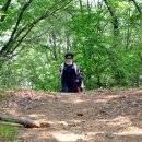 소정면사무소 이미지