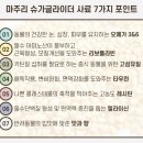 펫엔글라이더 대전점 이미지