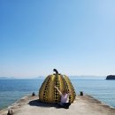 일본 나오시마섬여행코스_안도 타다오 지추미술관, 빨간호박, 노란호박