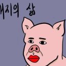 팔봉갯벌체험야영장 이미지