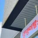 댕댕이발소 이미지