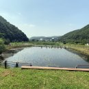 시민옷수선 네이버블로그