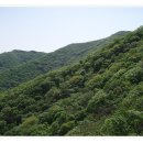 산들바람 이미지