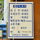 용덕산장 네이버블로그