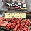 황지연못 | 태백 맛집 [태백한우마을] 내돈내산 후기 / 황지연못