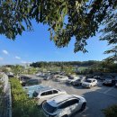 블루라운지 | 청주 블루체어라운지카페 솔직 후기