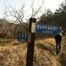 수인산성주차장 이미지