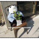 민트판다 이미지