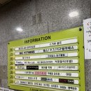 석정일식 이미지