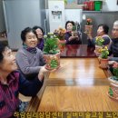 원예,미술치유 이미지