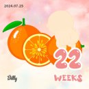 슈가독살롱 이미지