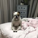 어반유니온 이미지