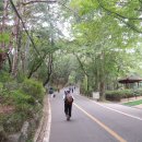 관악산 무장애숲길 이미지