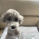 동남덴탈 이미지