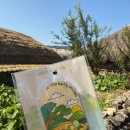 낙안빌딩 이미지