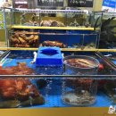 활어종합수족관 이미지