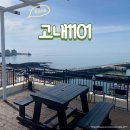 1101 | 깔끔하고 편안한 바다뷰 &#39;고내1101&#39; 내돈내산 솔직 후기