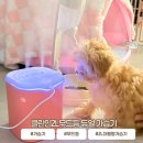 첨단기업로2L(2)-10 | 하루종일 촉촉함을 유지하는 가습기| 클린인 2L 무드등 듀얼 가습기 추천