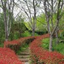 용소웰빙공원 이미지