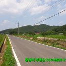 황금터부동산중개사무소 이미지