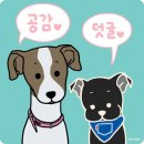 기억하개 이미지