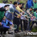 반포천1-23 이미지