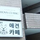 유기견 임시보호 애견카페 꽃길걷개