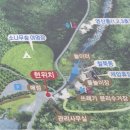 영산홍 | 보성 제암산 자연휴양림 다시 가고싶은 영산홍3호 후기