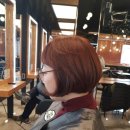 컷트클럽 이미지