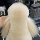 양파살롱 이미지