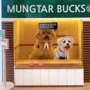 곡식이네 수제간식 이미지