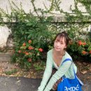 국수나무합성점 | 8/23-8/29 치앙마이