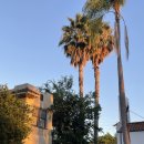 MATEO PT | [복싱] LA Midcity 복싱장 투어 후기