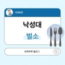 벌소 - 강남구 도산대로1길 78 | 벌소