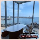 하프문베이 | 영덕 오션뷰 카페 하프문베이 아이랑 재방문 각 나온 솔직후기