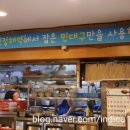 푸른바다 볼테기 이미지