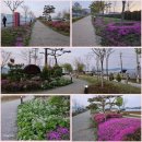 대한민국 전몰군경유족회 충남지부 천안시지회 | 제천시민들, 중국발 코로나19 엔데믹(풍토병화) 대응-제천시(시장권한대행 최승환 부시장), 토지21만...