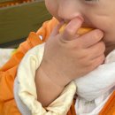 달천농장 이미지