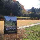 강변자전거길(남) 이미지