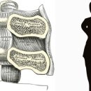 김영숙한의원 이미지