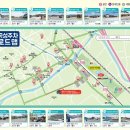 학정천 | [곡성 기차마을] 장미축제, 비오는 날 가야 눈치게임 성공!