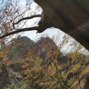 수축산