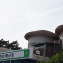 베어랜드 민박 이미지